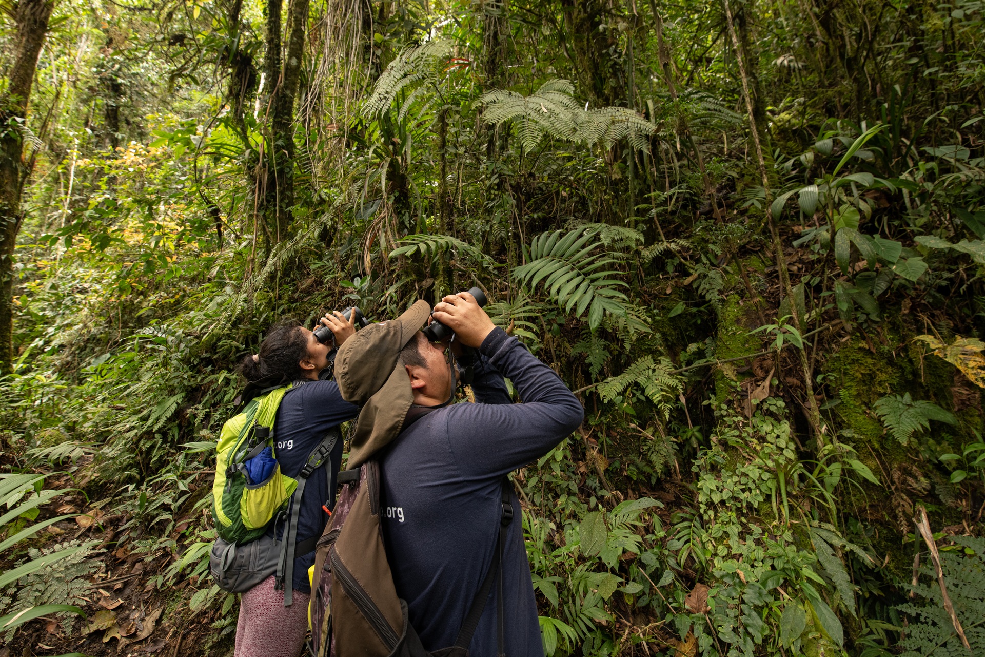 Collage of the Podocarpus-El Cóndor Corridor conservation project.